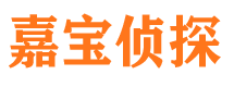 徽县市侦探公司